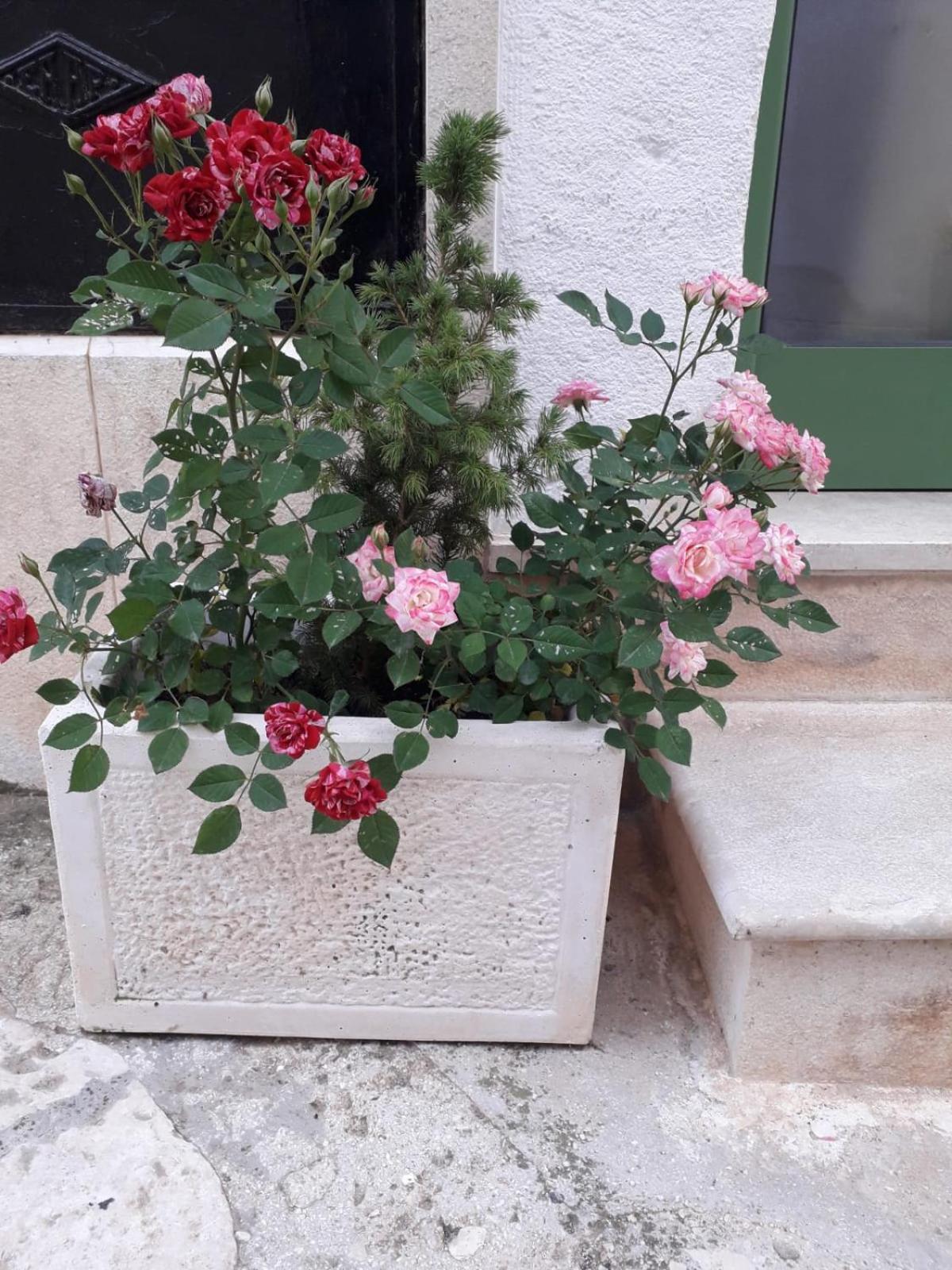 Le Chianche Villa Ceglie Messapica Bagian luar foto